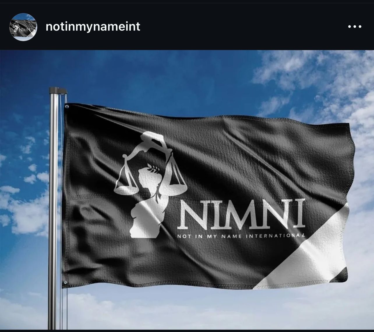 NIMNI — Not In My Name International